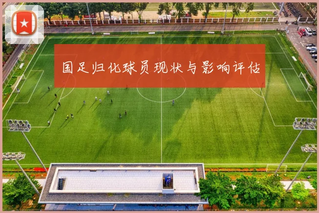 国足归化球员现状与影响评估