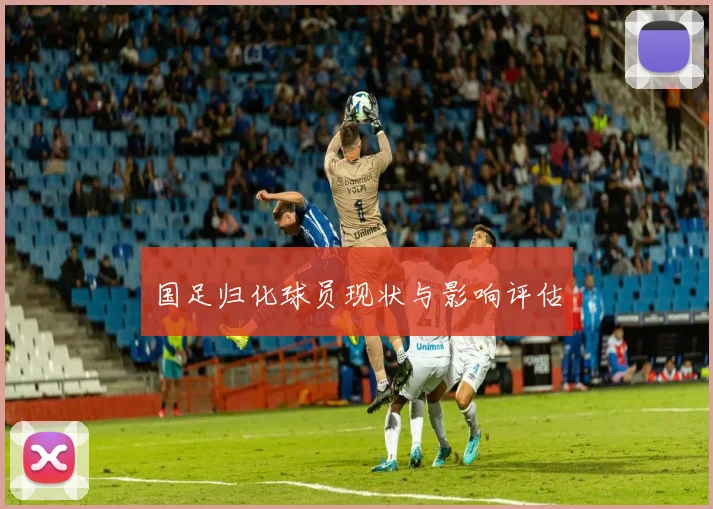 国足归化球员现状与影响评估